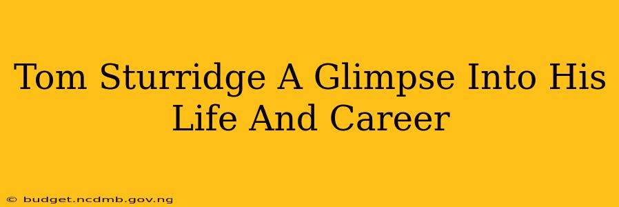 Tom Sturridge A Glimpse Into His Life And Career