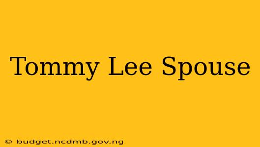 Tommy Lee Spouse