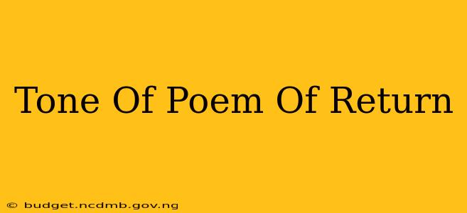 Tone Of Poem Of Return