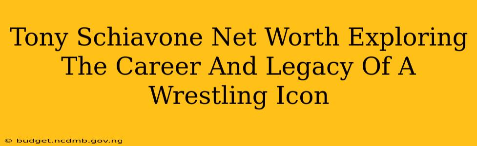 Tony Schiavone Net Worth Exploring The Career And Legacy Of A Wrestling Icon