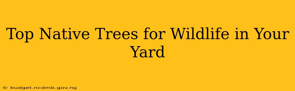 Top Native Trees for Wildlife in Your Yard
