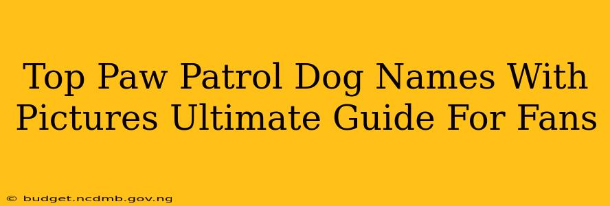 Top Paw Patrol Dog Names With Pictures Ultimate Guide For Fans