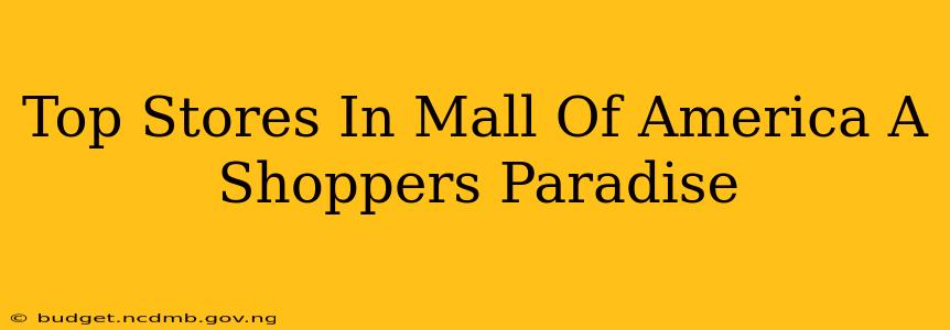 Top Stores In Mall Of America A Shoppers Paradise