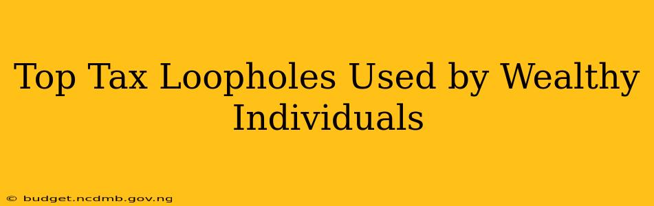 Top Tax Loopholes Used by Wealthy Individuals