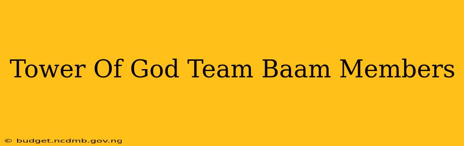 Tower Of God Team Baam Members