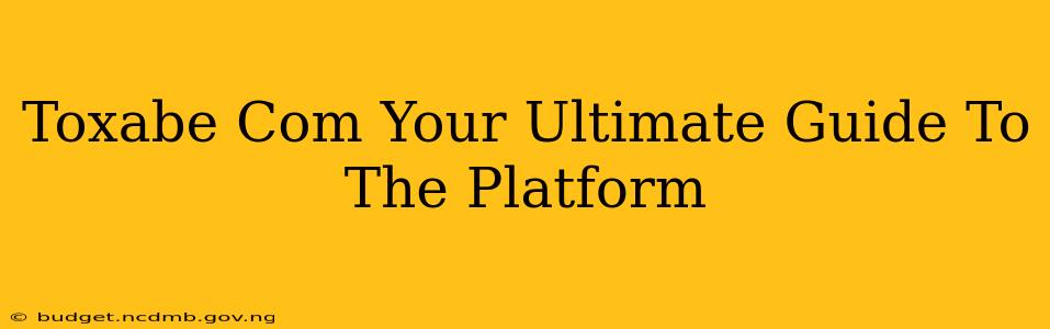 Toxabe Com Your Ultimate Guide To The Platform