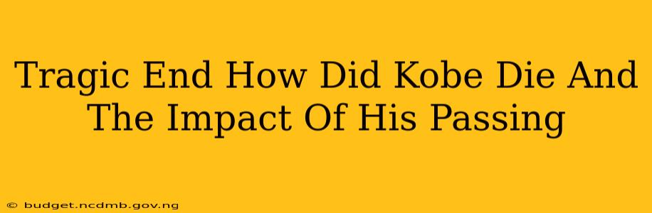 Tragic End How Did Kobe Die And The Impact Of His Passing