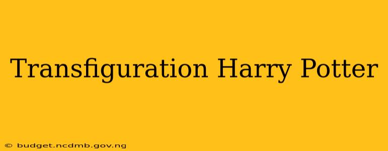 Transfiguration Harry Potter