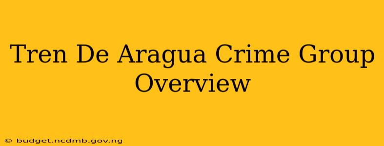 Tren De Aragua Crime Group Overview