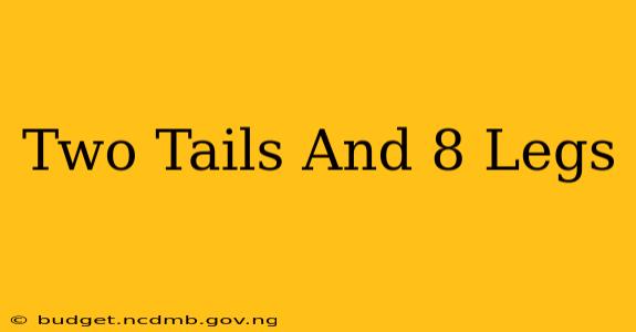 Two Tails And 8 Legs