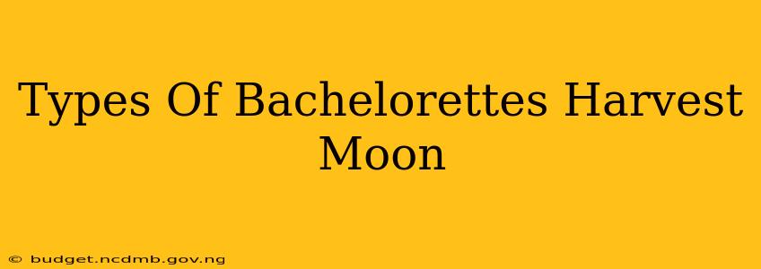 Types Of Bachelorettes Harvest Moon