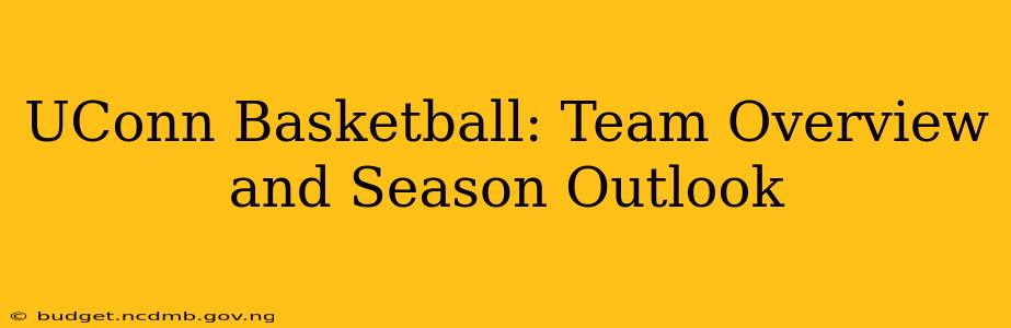 UConn Basketball: Team Overview and Season Outlook