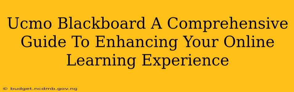 Ucmo Blackboard A Comprehensive Guide To Enhancing Your Online Learning Experience