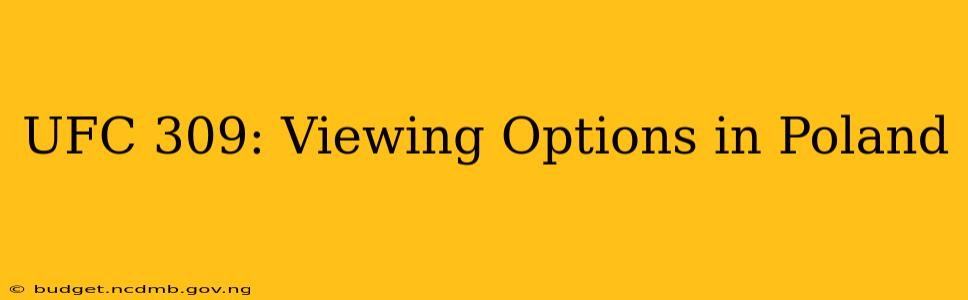 UFC 309: Viewing Options in Poland