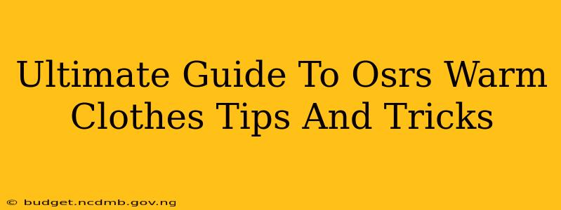 Ultimate Guide To Osrs Warm Clothes Tips And Tricks
