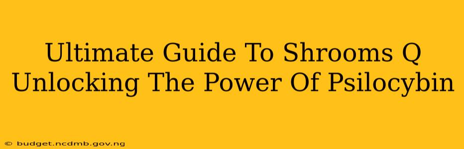 Ultimate Guide To Shrooms Q Unlocking The Power Of Psilocybin