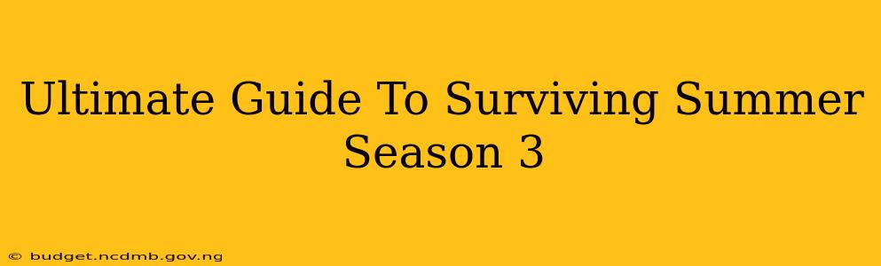 Ultimate Guide To Surviving Summer Season 3