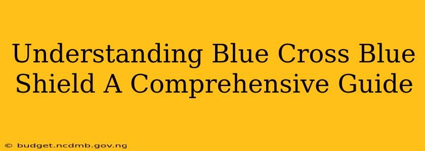 Understanding Blue Cross Blue Shield A Comprehensive Guide