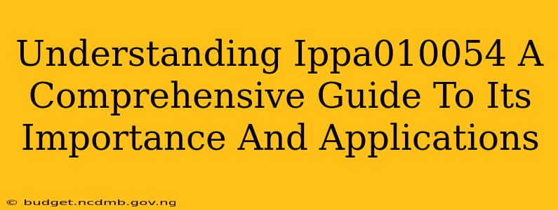 Understanding Ippa010054 A Comprehensive Guide To Its Importance And Applications