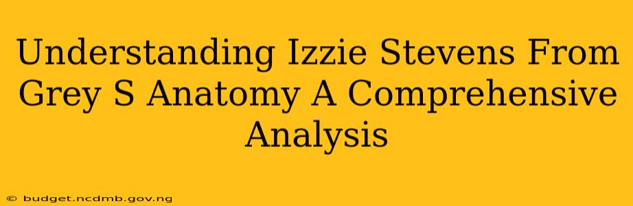 Understanding Izzie Stevens From Grey S Anatomy A Comprehensive Analysis
