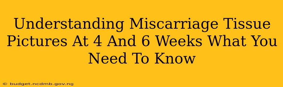 Understanding Miscarriage Tissue Pictures At 4 And 6 Weeks What You Need To Know
