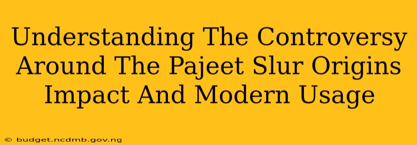 Understanding The Controversy Around The Pajeet Slur Origins Impact And Modern Usage