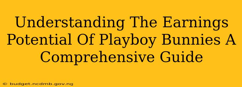 Understanding The Earnings Potential Of Playboy Bunnies A Comprehensive Guide