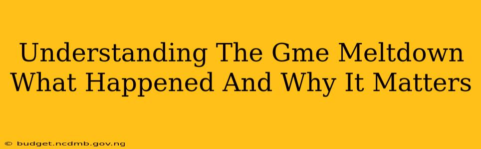 Understanding The Gme Meltdown What Happened And Why It Matters