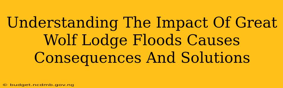 Understanding The Impact Of Great Wolf Lodge Floods Causes Consequences And Solutions