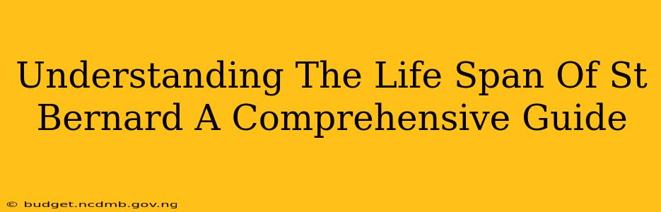 Understanding The Life Span Of St Bernard A Comprehensive Guide