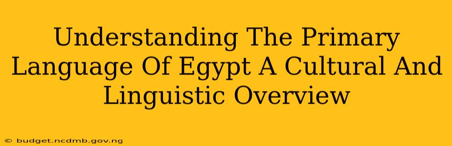 Understanding The Primary Language Of Egypt A Cultural And Linguistic Overview