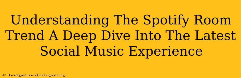 Understanding The Spotify Room Trend A Deep Dive Into The Latest Social Music Experience