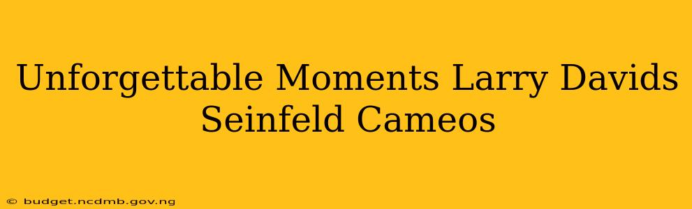 Unforgettable Moments Larry Davids Seinfeld Cameos