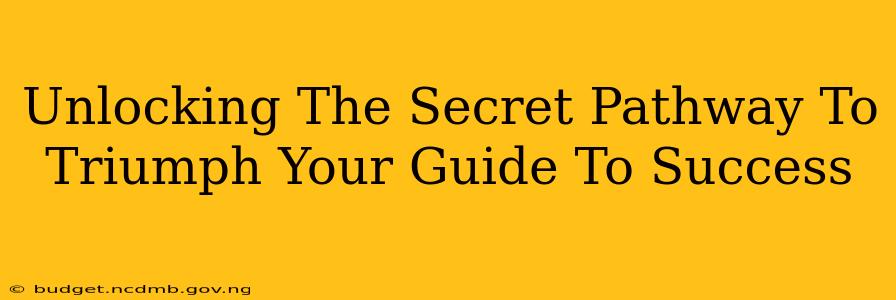 Unlocking The Secret Pathway To Triumph Your Guide To Success