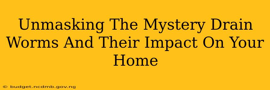 Unmasking The Mystery Drain Worms And Their Impact On Your Home