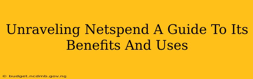 Unraveling Netspend A Guide To Its Benefits And Uses