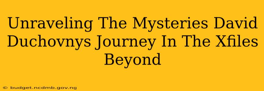 Unraveling The Mysteries David Duchovnys Journey In The Xfiles Beyond