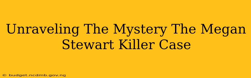 Unraveling The Mystery The Megan Stewart Killer Case