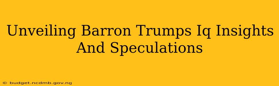 Unveiling Barron Trumps Iq Insights And Speculations