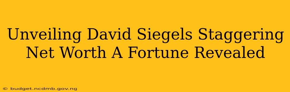 Unveiling David Siegels Staggering Net Worth A Fortune Revealed