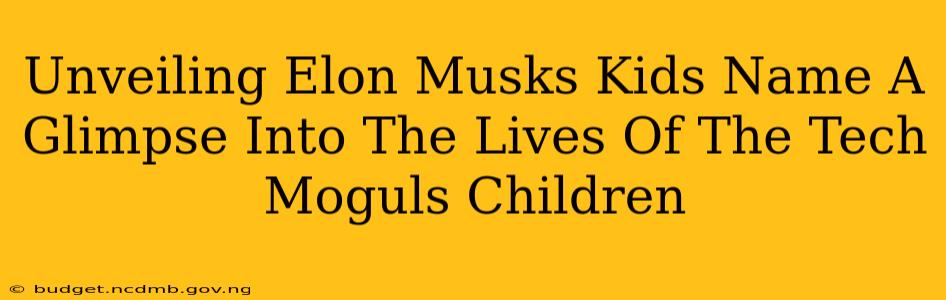 Unveiling Elon Musks Kids Name A Glimpse Into The Lives Of The Tech Moguls Children