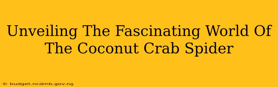 Unveiling The Fascinating World Of The Coconut Crab Spider