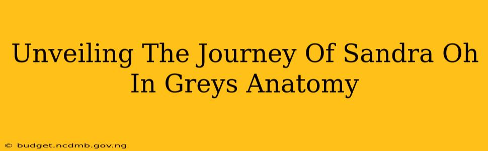Unveiling The Journey Of Sandra Oh In Greys Anatomy