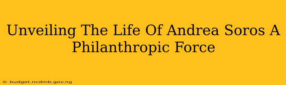 Unveiling The Life Of Andrea Soros A Philanthropic Force