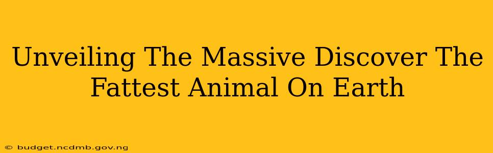 Unveiling The Massive Discover The Fattest Animal On Earth