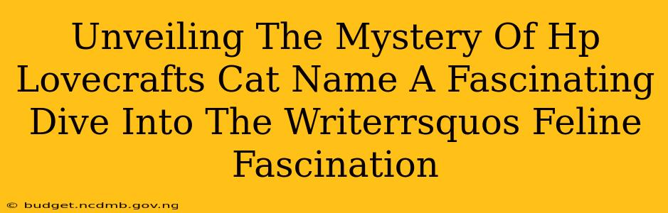 Unveiling The Mystery Of Hp Lovecrafts Cat Name A Fascinating Dive Into The Writerrsquos Feline Fascination
