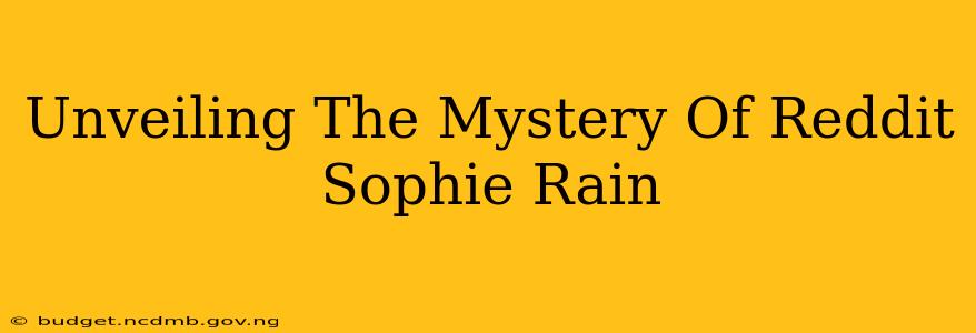 Unveiling The Mystery Of Reddit Sophie Rain