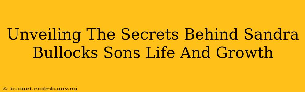 Unveiling The Secrets Behind Sandra Bullocks Sons Life And Growth