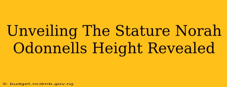 Unveiling The Stature Norah Odonnells Height Revealed