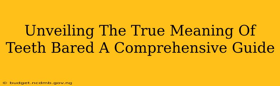 Unveiling The True Meaning Of Teeth Bared A Comprehensive Guide